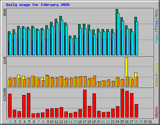 Daily usage for February 2026
