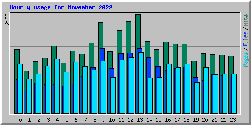Hourly usage for November 2022