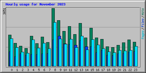 Hourly usage for November 2023