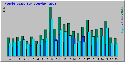 Hourly usage for December 2023