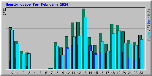 Hourly usage for February 2024