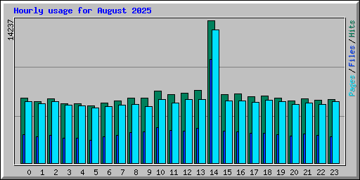 Hourly usage for August 2025