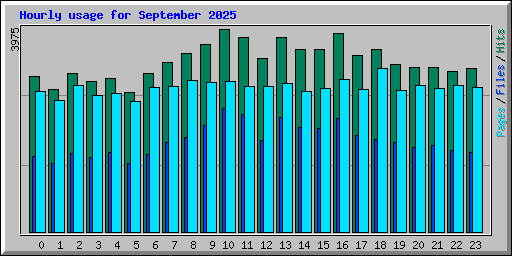 Hourly usage for September 2025