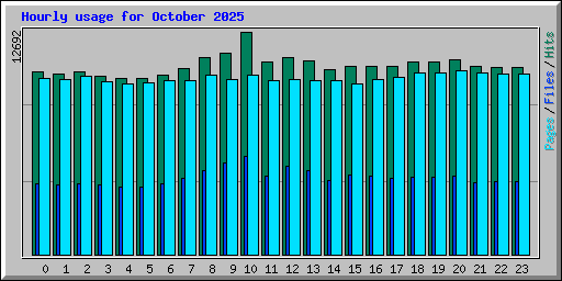 Hourly usage for October 2025