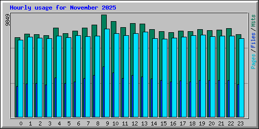 Hourly usage for November 2025