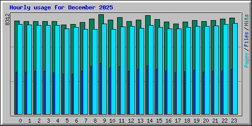 Hourly usage for December 2025