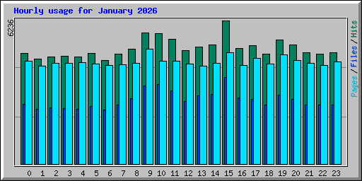 Hourly usage for January 2026
