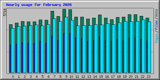 Hourly usage for February 2026