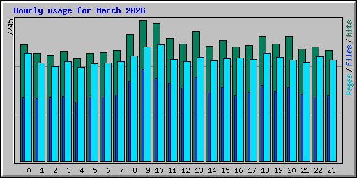 Hourly usage for March 2026