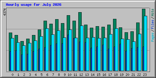 Hourly usage for July 2026