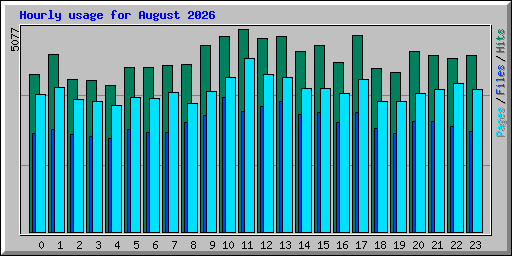 Hourly usage for August 2026